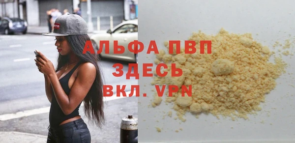 стаф Новокубанск