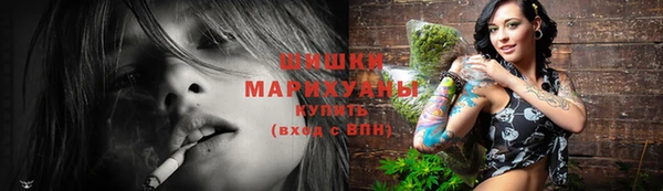 не бодяженный Новодвинск