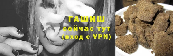 стаф Новокубанск