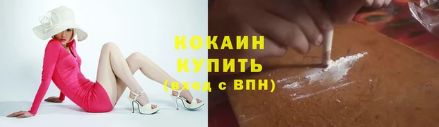 стаф Новокубанск
