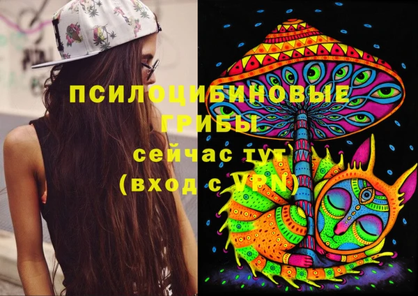 не бодяженный Новодвинск