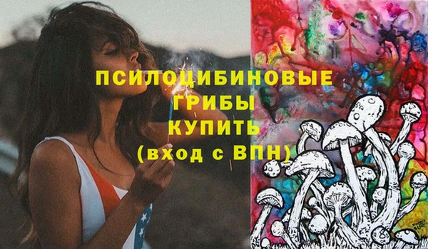 стаф Новокубанск
