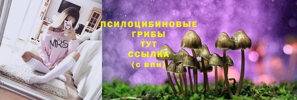 не бодяженный Тавда